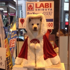 Айпара Рысбек, 06.02.1993, Алматы