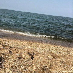 Тимур Ахмедов, 03.05.1992, Москва