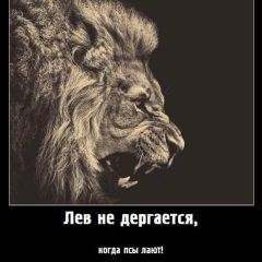 Алишер Азимов, 15.02, Алматы