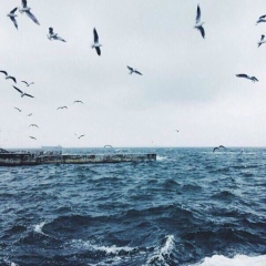 Shinar Kuanishova, 03.04.1992, Актау