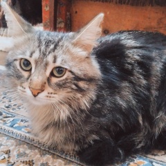 Лена Аветова, 06.07.1993, Туркменбашы