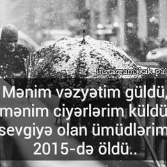 Nihad Haciyev, 06.06.1994