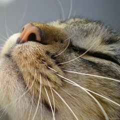 Александр Зимин, 19.11.1990, Казань