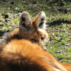 Марина Сумарокова, 04.07, Санкт-Петербург