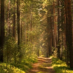 Олег Неменский, 25.08.1979, Москва