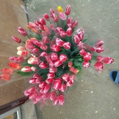 Хамис Хизриева, 14.12.1993, Махачкала