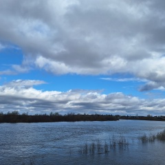 Анна Гончарова, Тюмень