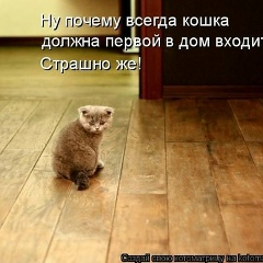 Светлана Lana, 26.06, Калининград