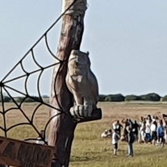 Александр Хохлов, Курган