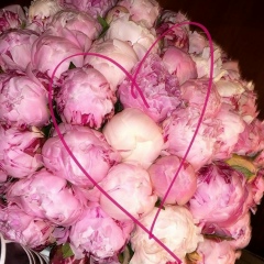 Мая Шоипова, 04.10.1999, Москва