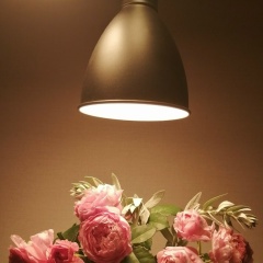 Анютка Губская, 06.03.1985, Омск