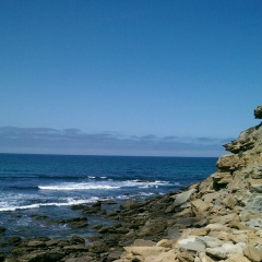 Елена Ленина