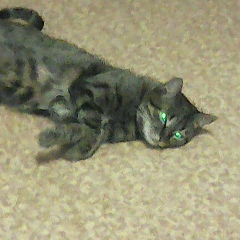 Диана Иванова