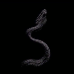 Жайна Саметова, 20.11, Караганда