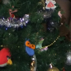 Сергей Жуков, Санкт-Петербург