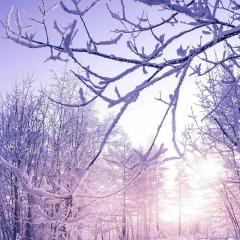 Татьяна Шопп, 04.03, Санкт-Петербург