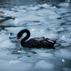 Enfant Sauvage, 26.08, Marseille