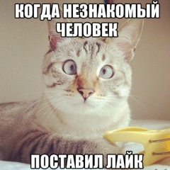 Антон Корнилов, 10.09.1974, Москва