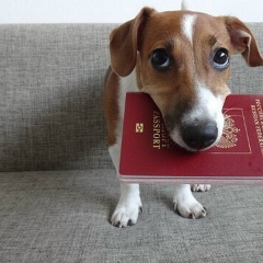 Александр Пикалов, 30.03.1984, Евпатория