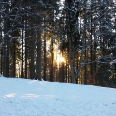 Екатерина Губицкая, Одесса