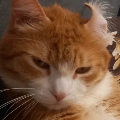 Ирина Родионова, 03.05.1987