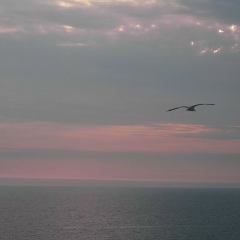 Сергей Сергеевич, 04.02, Санкт-Петербург