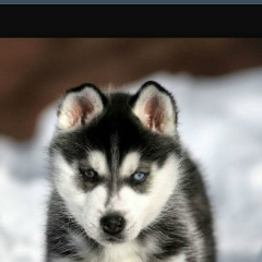 Настя Алонцева, 06.09.2000, Петрозаводск