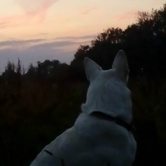 Алла , Санкт-Петербург