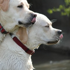 Варвара Чукова, 03.03.1986, Москва