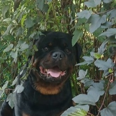 Наталья Юрина, 19.10, Санкт-Петербург