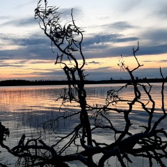 Дмитрий Булыгин, 04.07, Санкт-Петербург