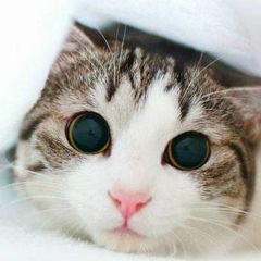 Нуржамал Избасарова, 27.06.1981, Уральск