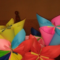 Gulim Shatyrova, 15.02, Шымкент