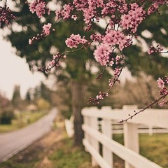 Катюшкин Тюрнина, 16.08, Санкт-Петербург