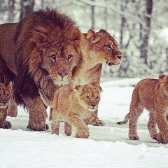 Nurasyl Sylkymbaev, 19.05.1996, Алматы