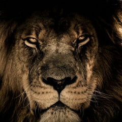 Freeman Free, 05.10, Ташкент