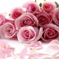 Ольга Лиа, Toronto