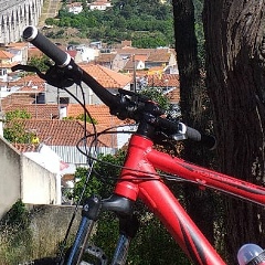 Алексей Назарчук, Lisboa