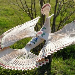 Has Has, 01.03.1978, Goiânia