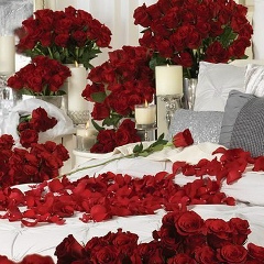 Gulsanat Satybekova, 06.03.1990, Алматы