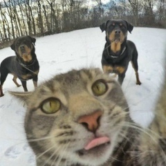 Анвар Енелеев, 29.03.1987, Экибастуз