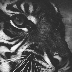 Артём Малинин, 01.11.1986, Москва