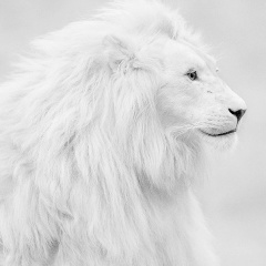 Aidana Omarova, 11.08, Астана