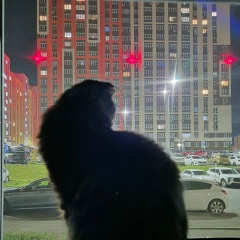 Алексей Мольков