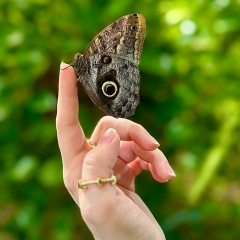 Dasha Gish, 24.04.1990