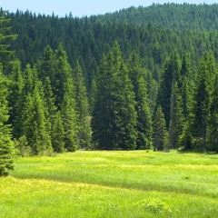 Наталья Дмитрова, 01.11.1985, Новосибирск