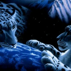 Салман Магамедов, 01.01.1999, Тюмень