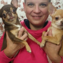 Светлана Орешкина, 12.03, Трехгорный