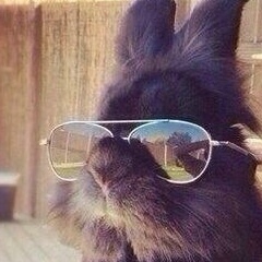 Петр Петров, 01.01.1901