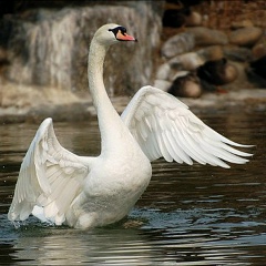 Татьяна Лебедева, 27.01.1981, Санкт-Петербург